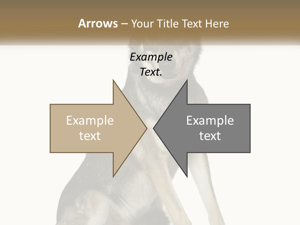 A Dog Sitting Down With A White Background PowerPoint Template