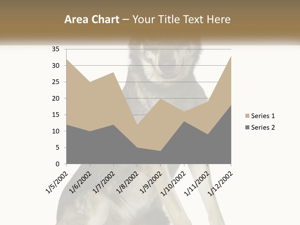 A Dog Sitting Down With A White Background PowerPoint Template