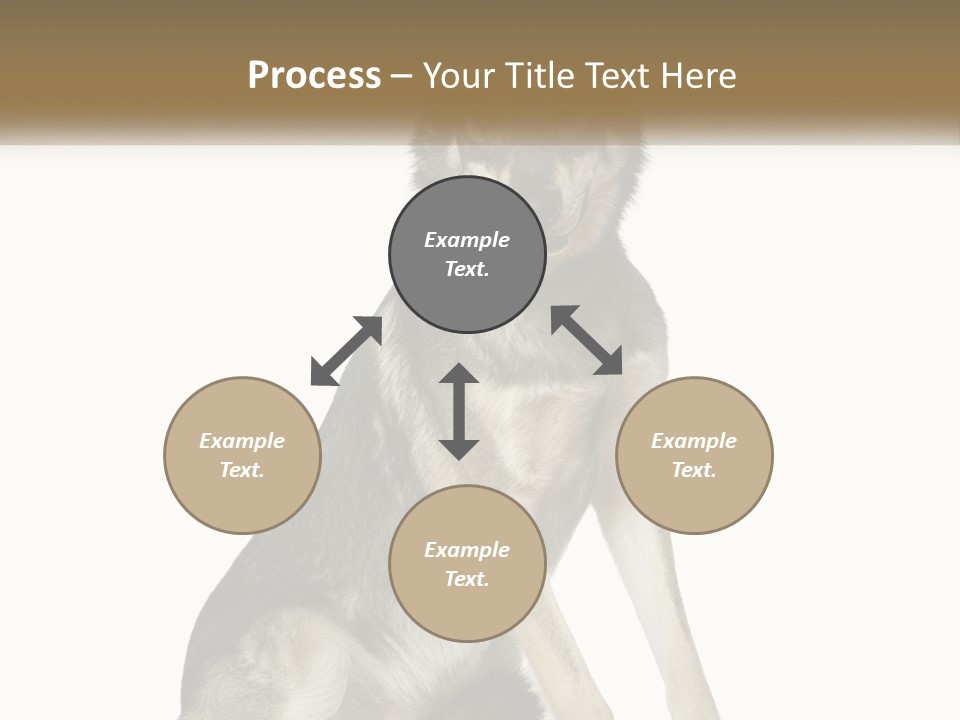 A Dog Sitting Down With A White Background PowerPoint Template