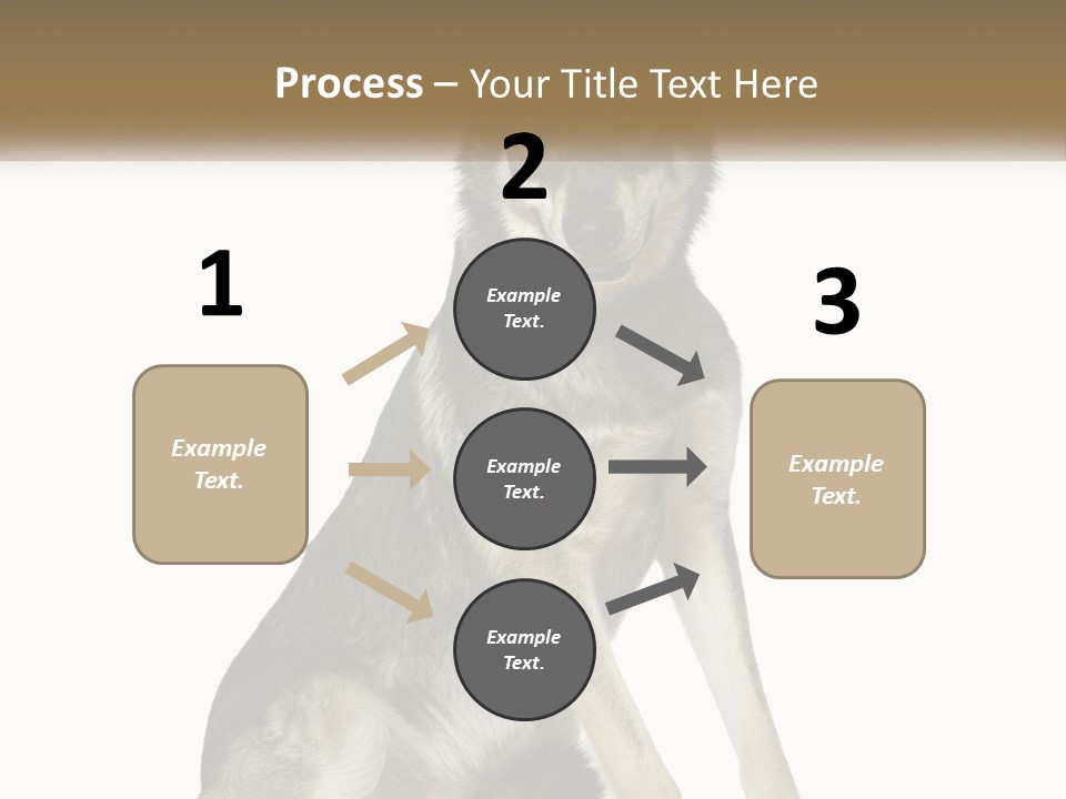 A Dog Sitting Down With A White Background PowerPoint Template