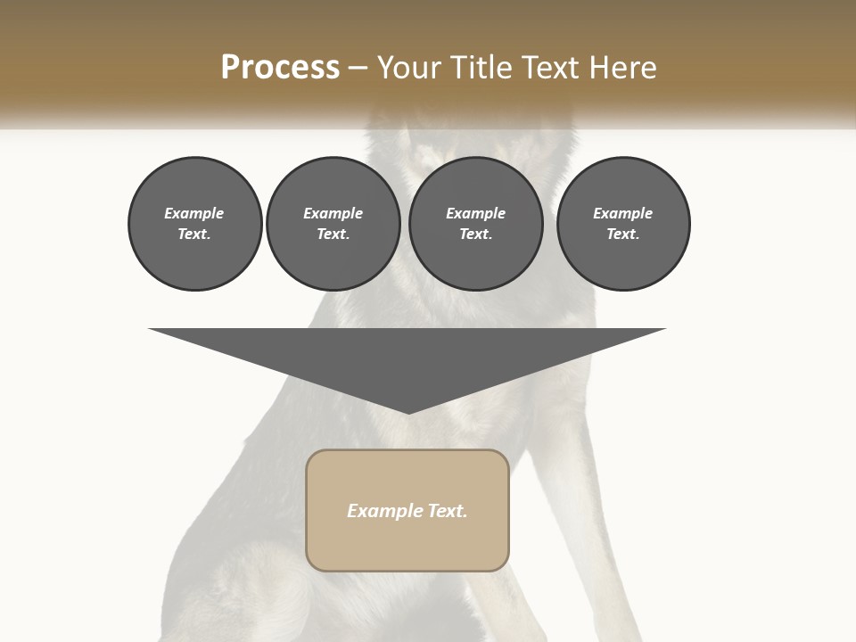 A Dog Sitting Down With A White Background PowerPoint Template