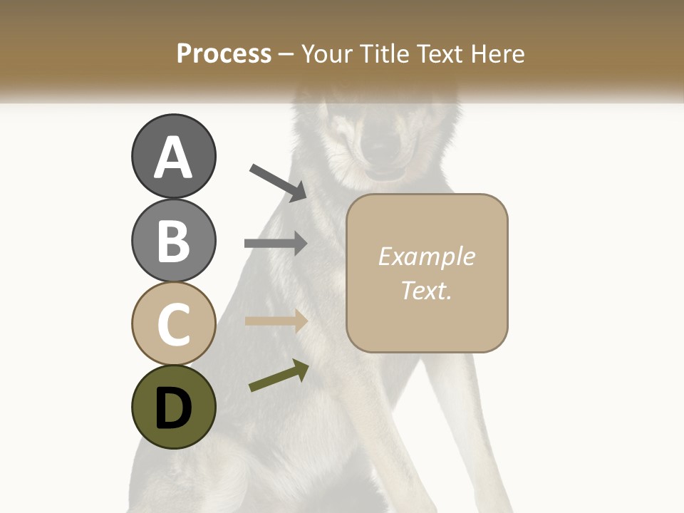 A Dog Sitting Down With A White Background PowerPoint Template