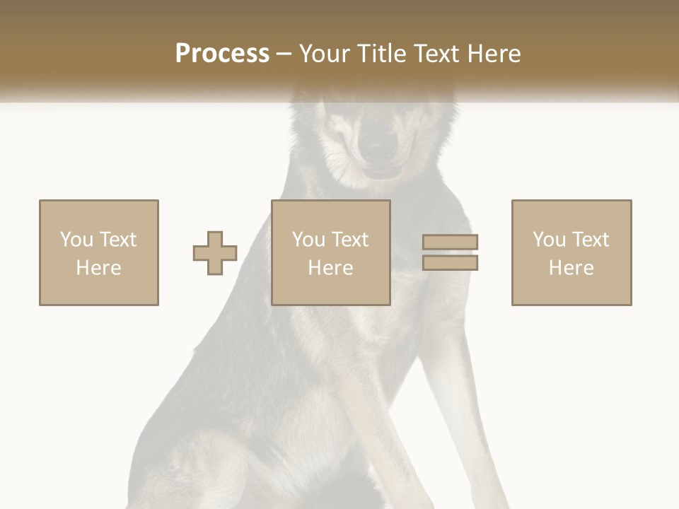 A Dog Sitting Down With A White Background PowerPoint Template