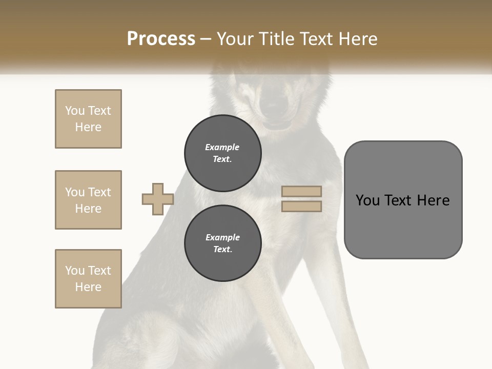 A Dog Sitting Down With A White Background PowerPoint Template