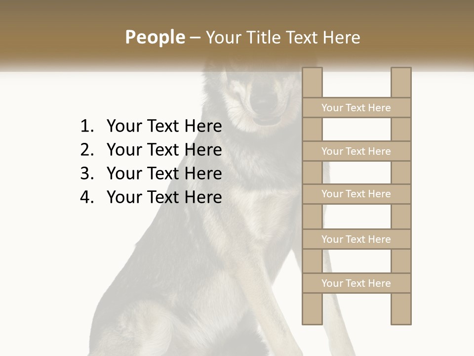 A Dog Sitting Down With A White Background PowerPoint Template