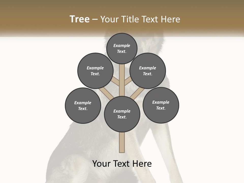 A Dog Sitting Down With A White Background PowerPoint Template