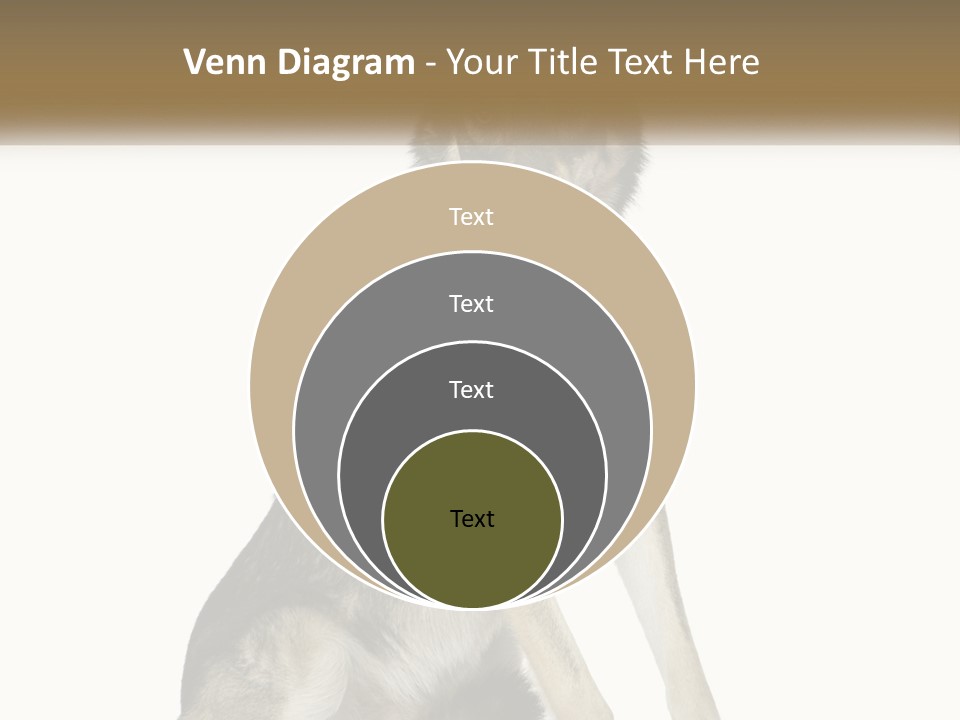 A Dog Sitting Down With A White Background PowerPoint Template