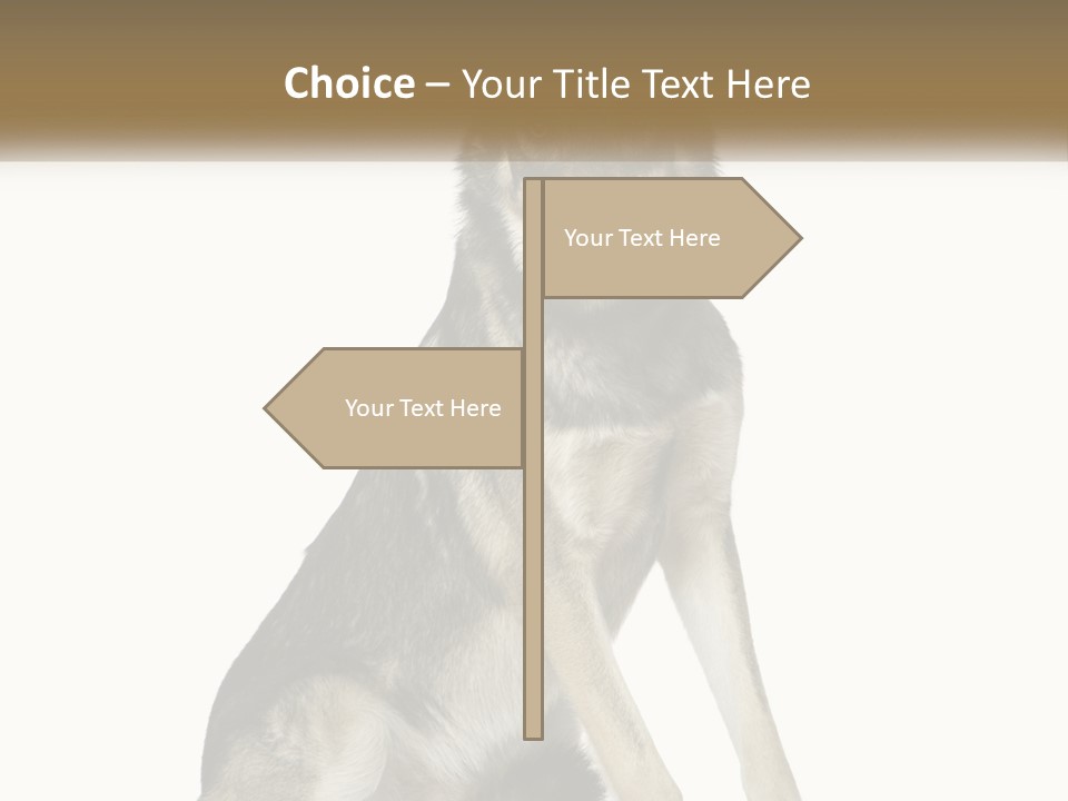 A Dog Sitting Down With A White Background PowerPoint Template