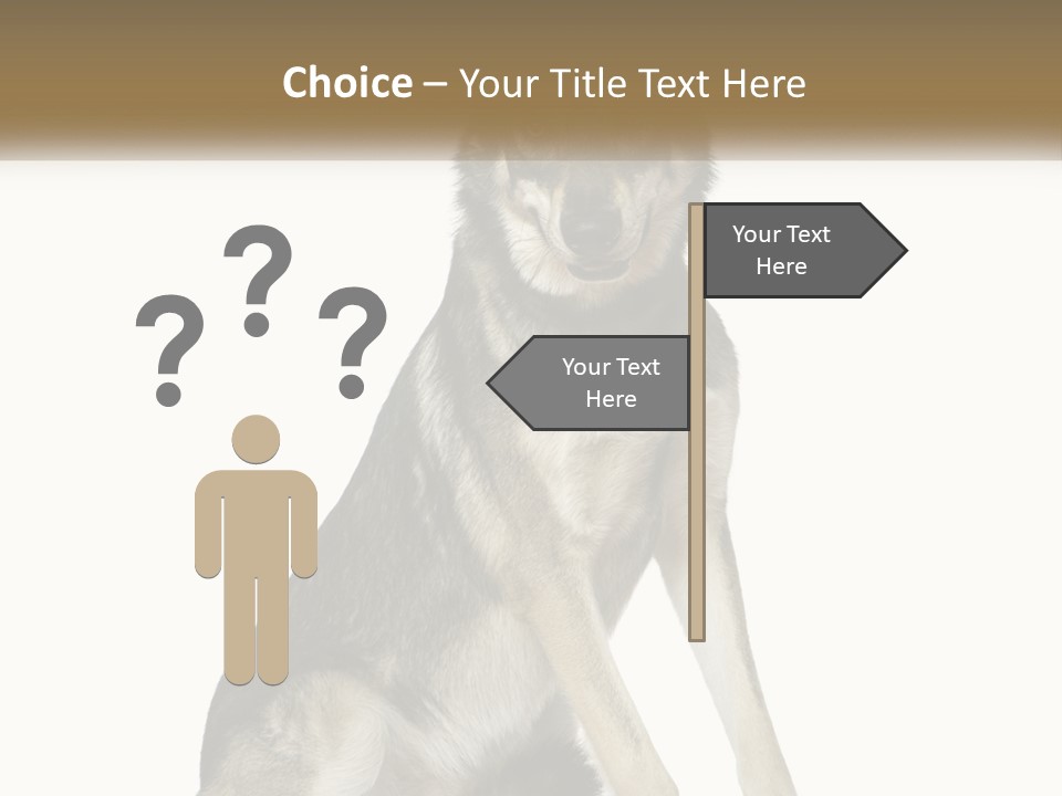 A Dog Sitting Down With A White Background PowerPoint Template