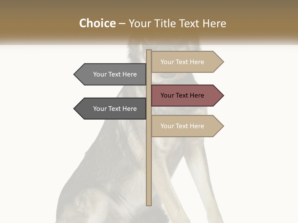 A Dog Sitting Down With A White Background PowerPoint Template