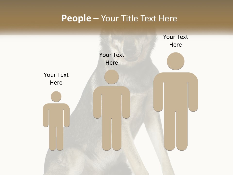 A Dog Sitting Down With A White Background PowerPoint Template