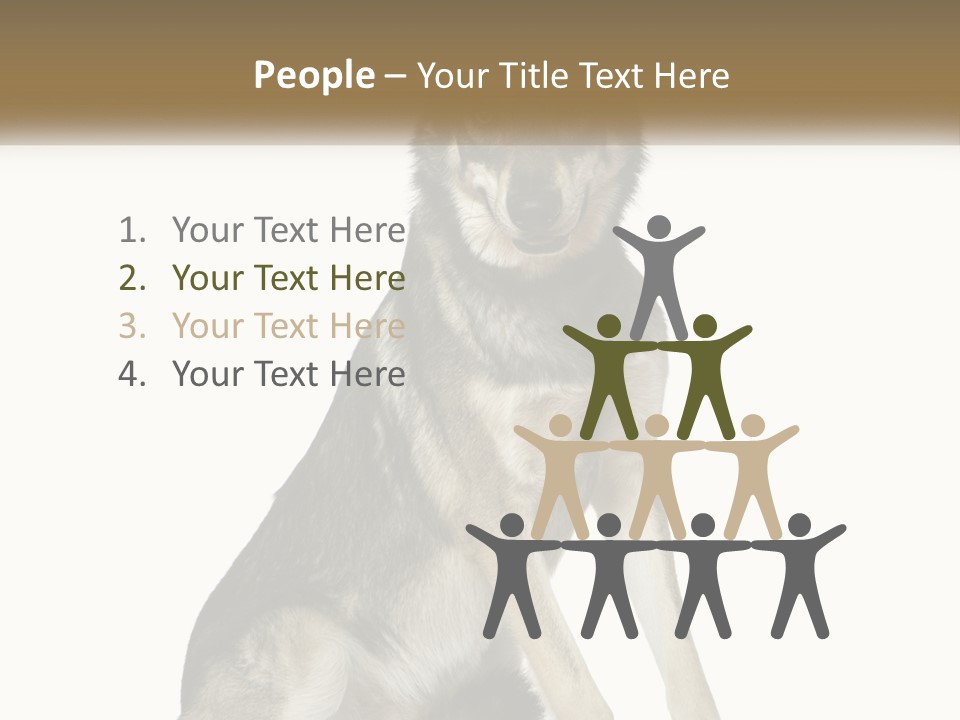 A Dog Sitting Down With A White Background PowerPoint Template