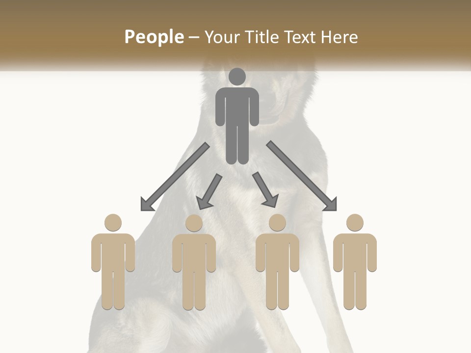 A Dog Sitting Down With A White Background PowerPoint Template