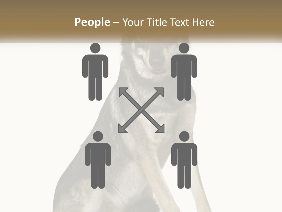 A Dog Sitting Down With A White Background PowerPoint Template