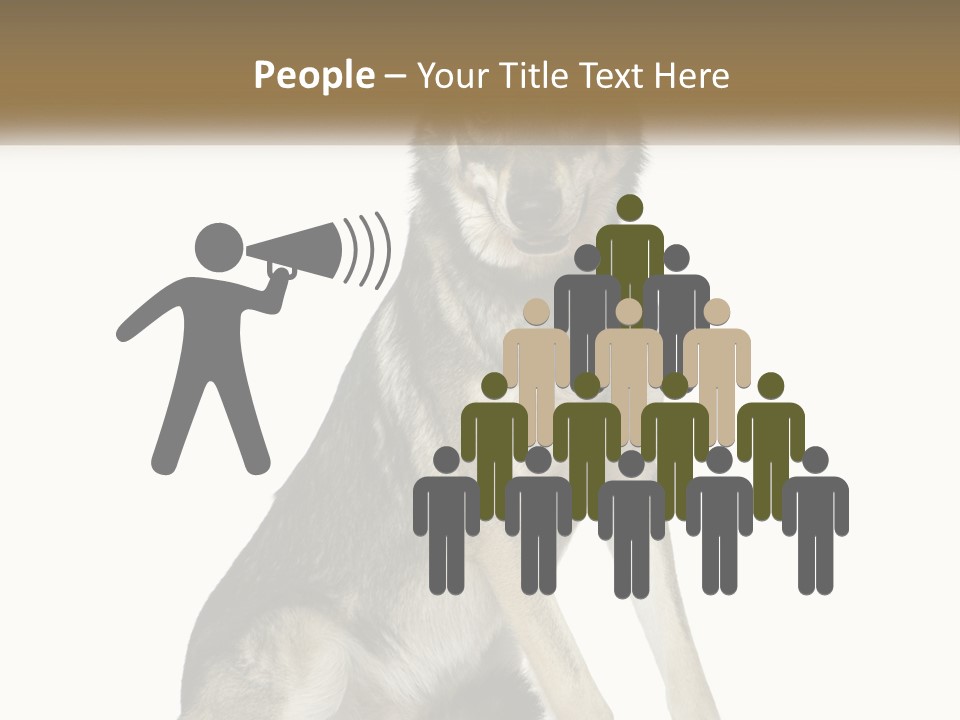 A Dog Sitting Down With A White Background PowerPoint Template