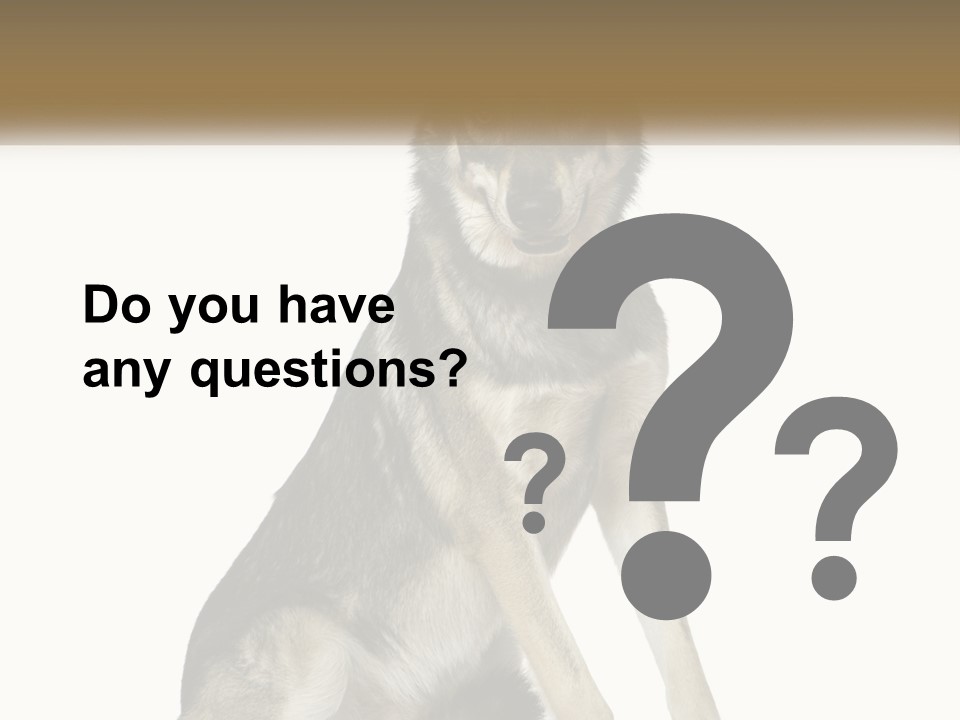 A Dog Sitting Down With A White Background PowerPoint Template