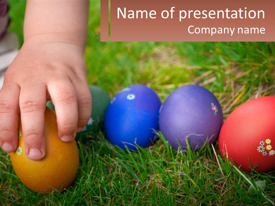 A Child's Hand Touching An Egg On The Grass PowerPoint Template