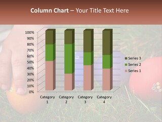 A Child's Hand Touching An Egg On The Grass PowerPoint Template