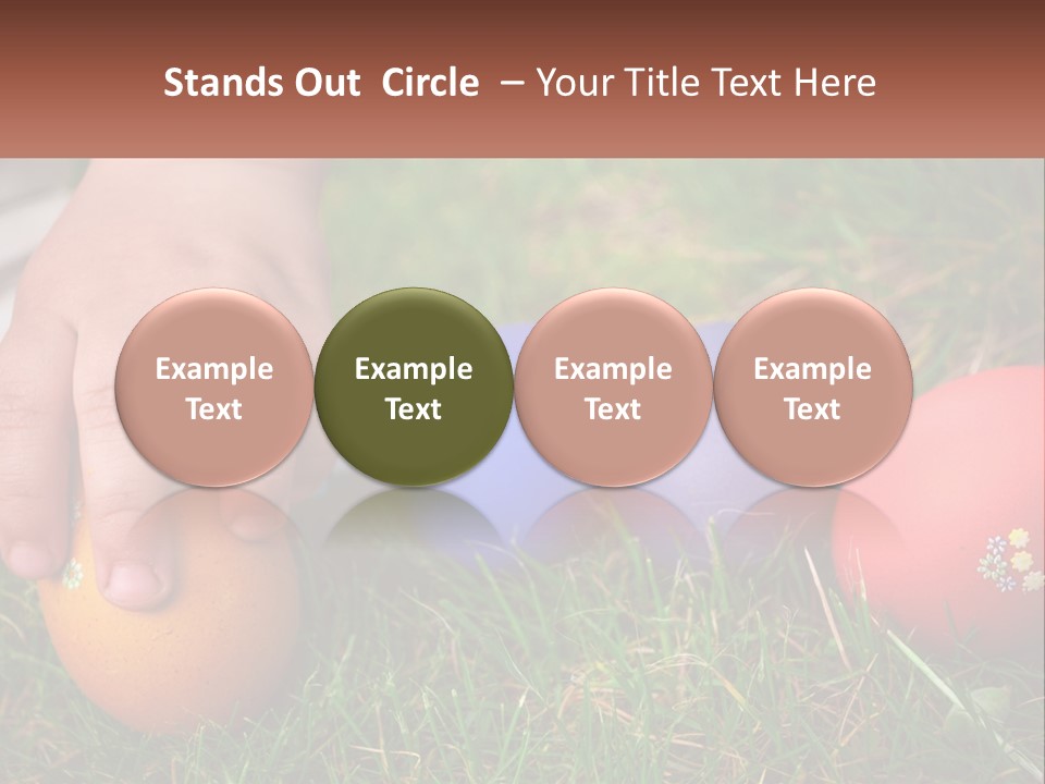A Child's Hand Touching An Egg On The Grass PowerPoint Template