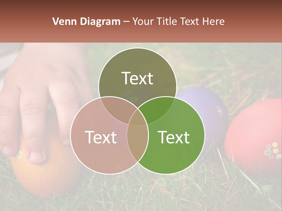 A Child's Hand Touching An Egg On The Grass PowerPoint Template