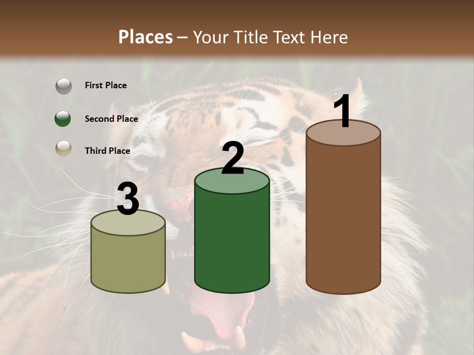 A Tiger With Its Mouth Open And It's Mouth Wide Open PowerPoint Template