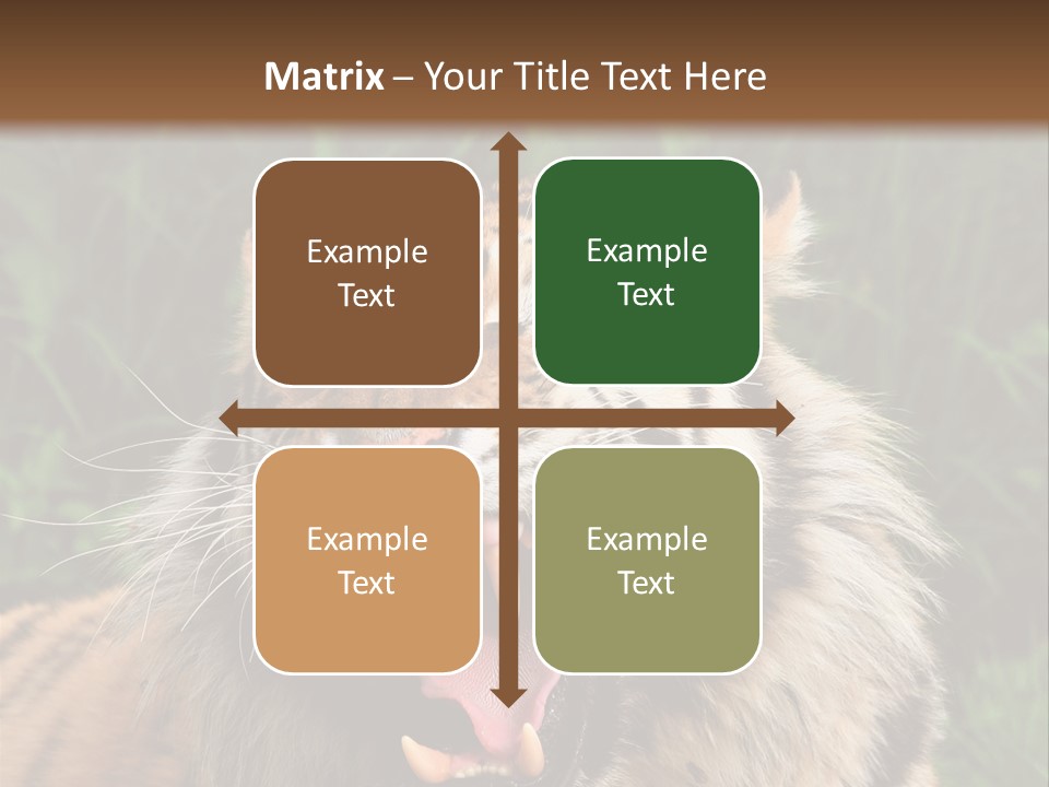 A Tiger With Its Mouth Open And It's Mouth Wide Open PowerPoint Template