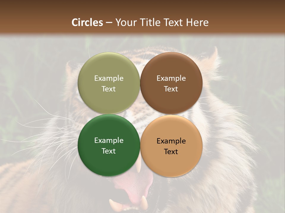 A Tiger With Its Mouth Open And It's Mouth Wide Open PowerPoint Template