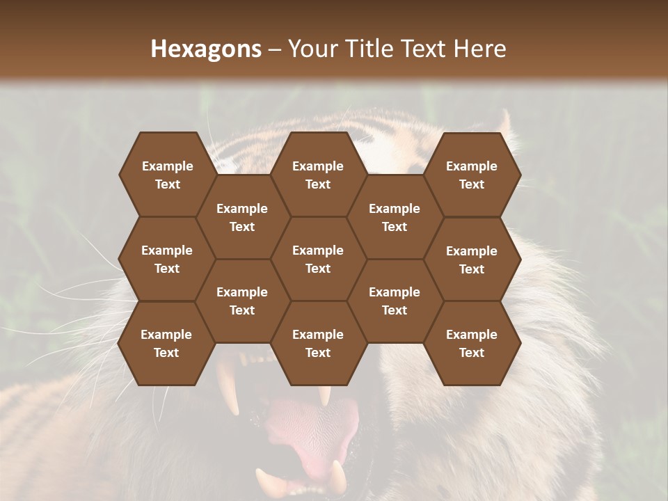 A Tiger With Its Mouth Open And It's Mouth Wide Open PowerPoint Template