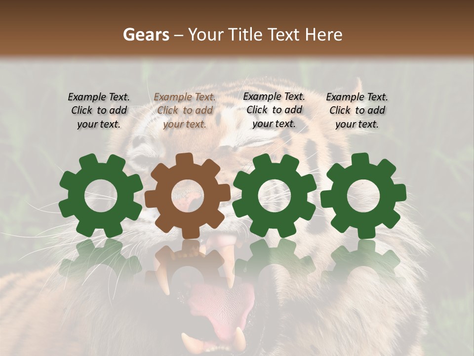 A Tiger With Its Mouth Open And It's Mouth Wide Open PowerPoint Template