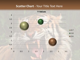 A Tiger With Its Mouth Open And It's Mouth Wide Open PowerPoint Template