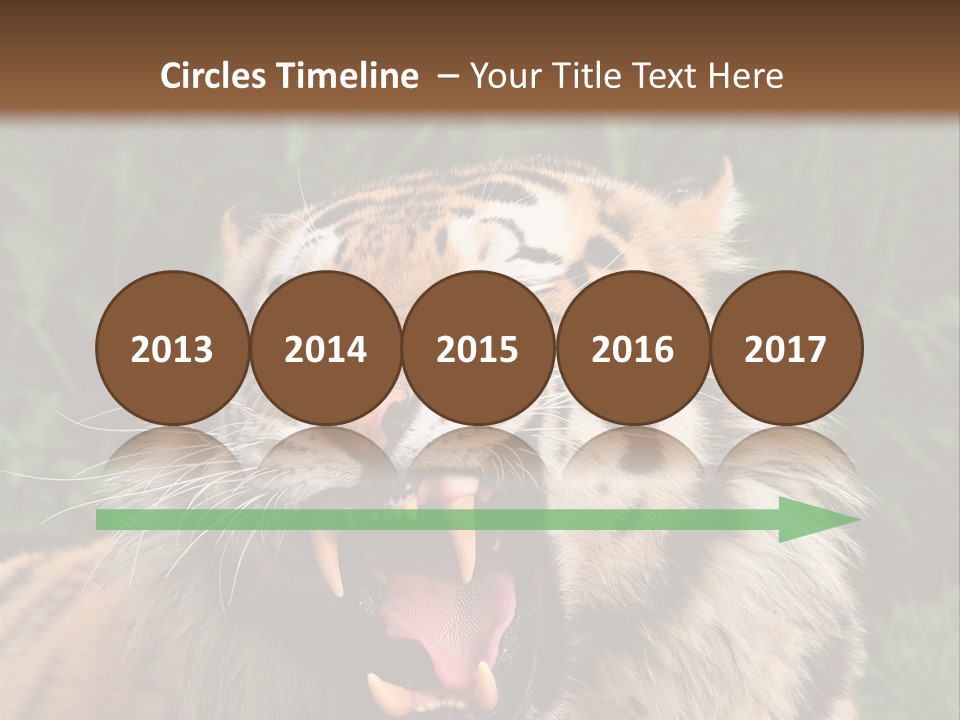 A Tiger With Its Mouth Open And It's Mouth Wide Open PowerPoint Template