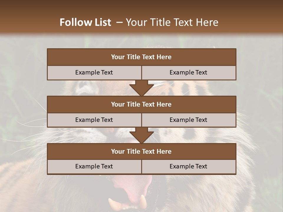 A Tiger With Its Mouth Open And It's Mouth Wide Open PowerPoint Template
