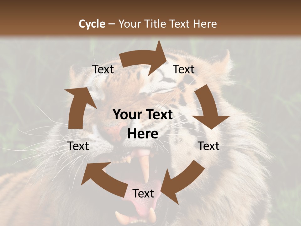 A Tiger With Its Mouth Open And It's Mouth Wide Open PowerPoint Template