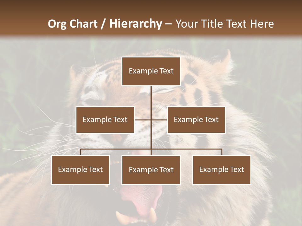 A Tiger With Its Mouth Open And It's Mouth Wide Open PowerPoint Template