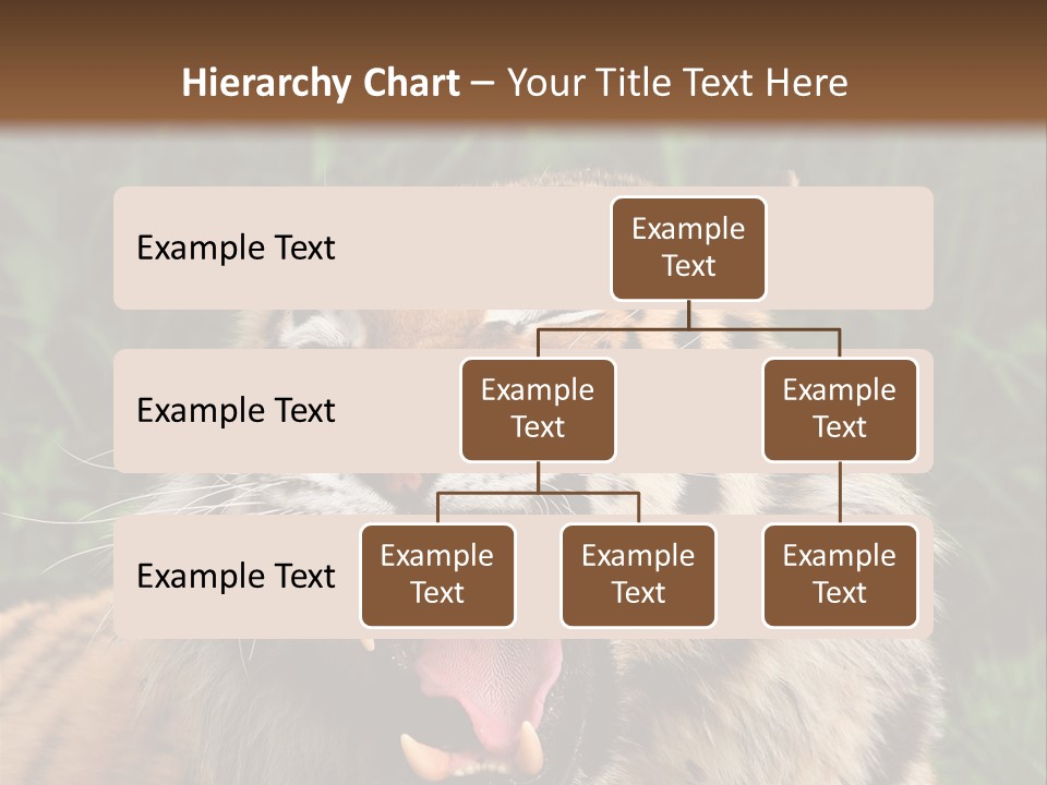 A Tiger With Its Mouth Open And It's Mouth Wide Open PowerPoint Template
