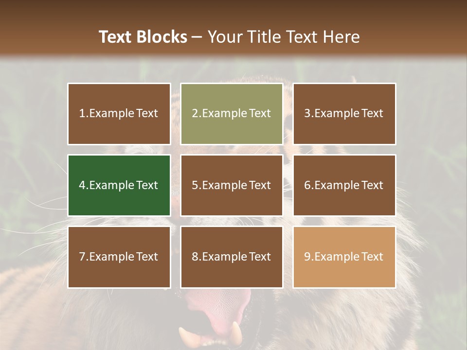 A Tiger With Its Mouth Open And It's Mouth Wide Open PowerPoint Template