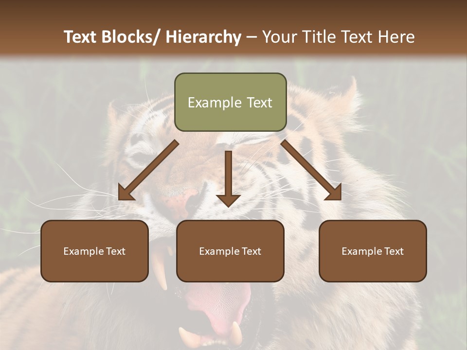 A Tiger With Its Mouth Open And It's Mouth Wide Open PowerPoint Template