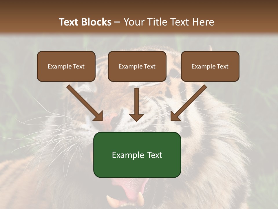 A Tiger With Its Mouth Open And It's Mouth Wide Open PowerPoint Template