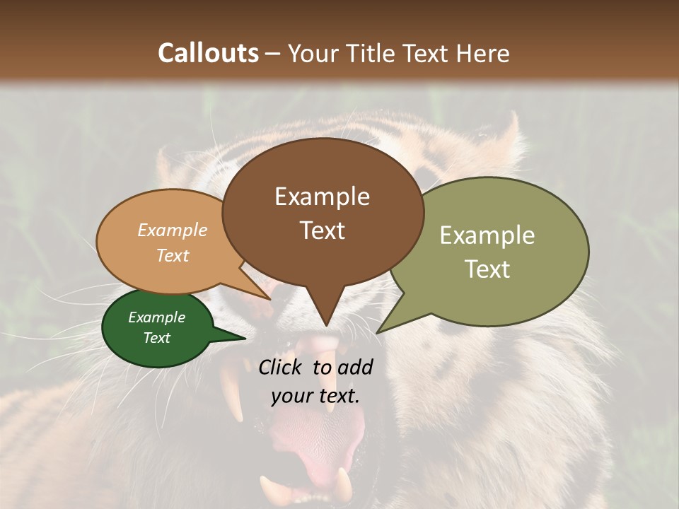 A Tiger With Its Mouth Open And It's Mouth Wide Open PowerPoint Template