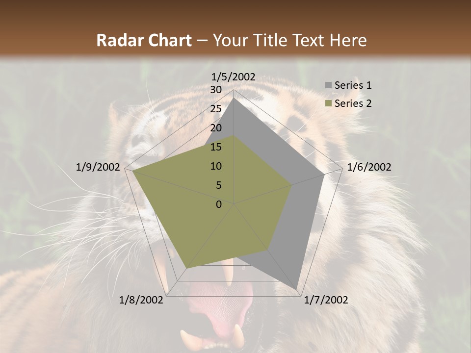 A Tiger With Its Mouth Open And It's Mouth Wide Open PowerPoint Template