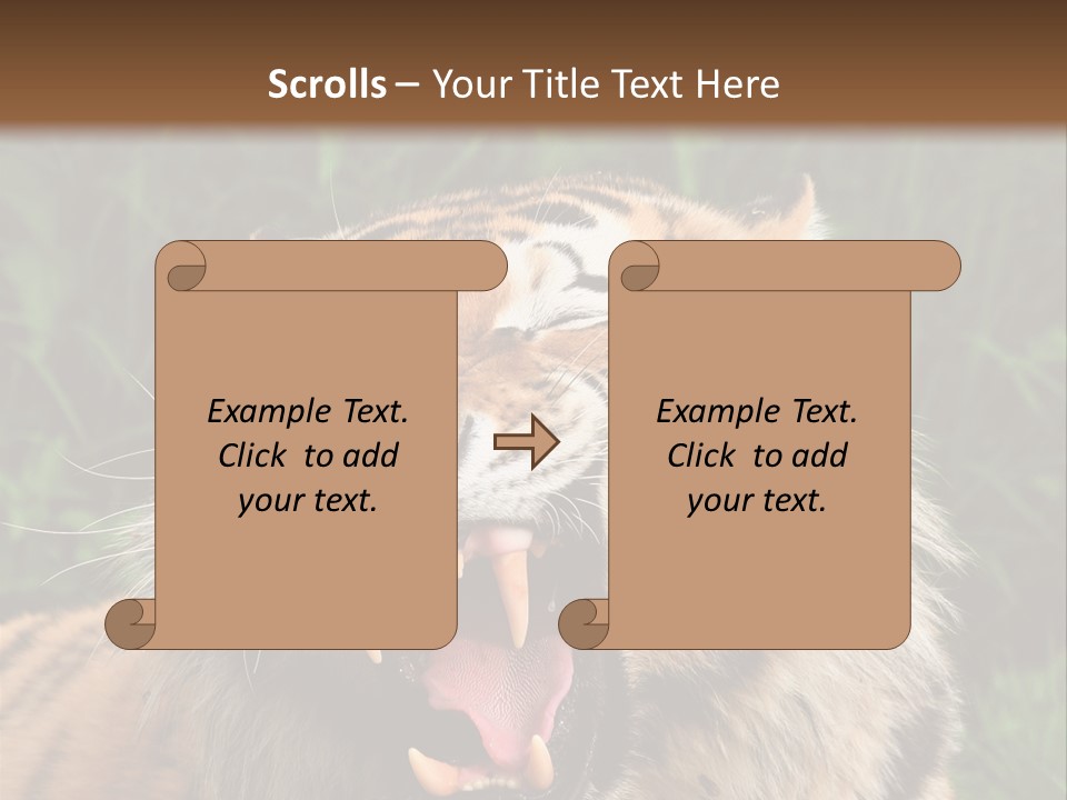 A Tiger With Its Mouth Open And It's Mouth Wide Open PowerPoint Template