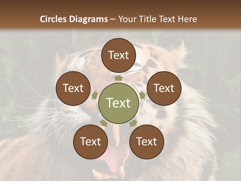 A Tiger With Its Mouth Open And It's Mouth Wide Open PowerPoint Template