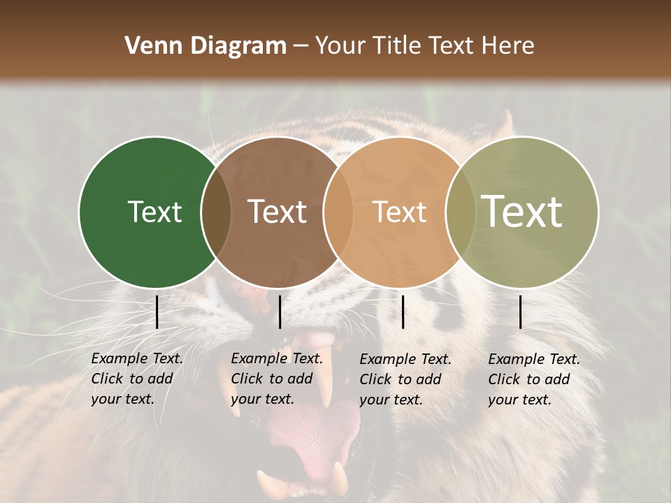 A Tiger With Its Mouth Open And It's Mouth Wide Open PowerPoint Template