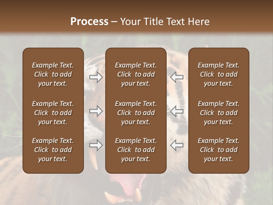 A Tiger With Its Mouth Open And It's Mouth Wide Open PowerPoint Template