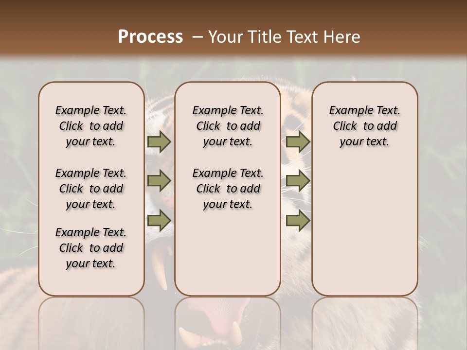 A Tiger With Its Mouth Open And It's Mouth Wide Open PowerPoint Template