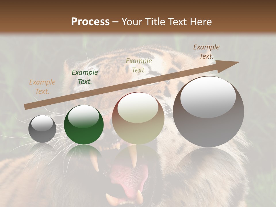 A Tiger With Its Mouth Open And It's Mouth Wide Open PowerPoint Template