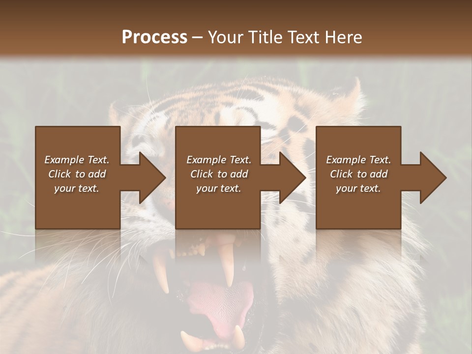 A Tiger With Its Mouth Open And It's Mouth Wide Open PowerPoint Template