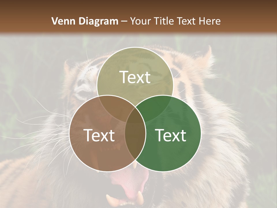 A Tiger With Its Mouth Open And It's Mouth Wide Open PowerPoint Template