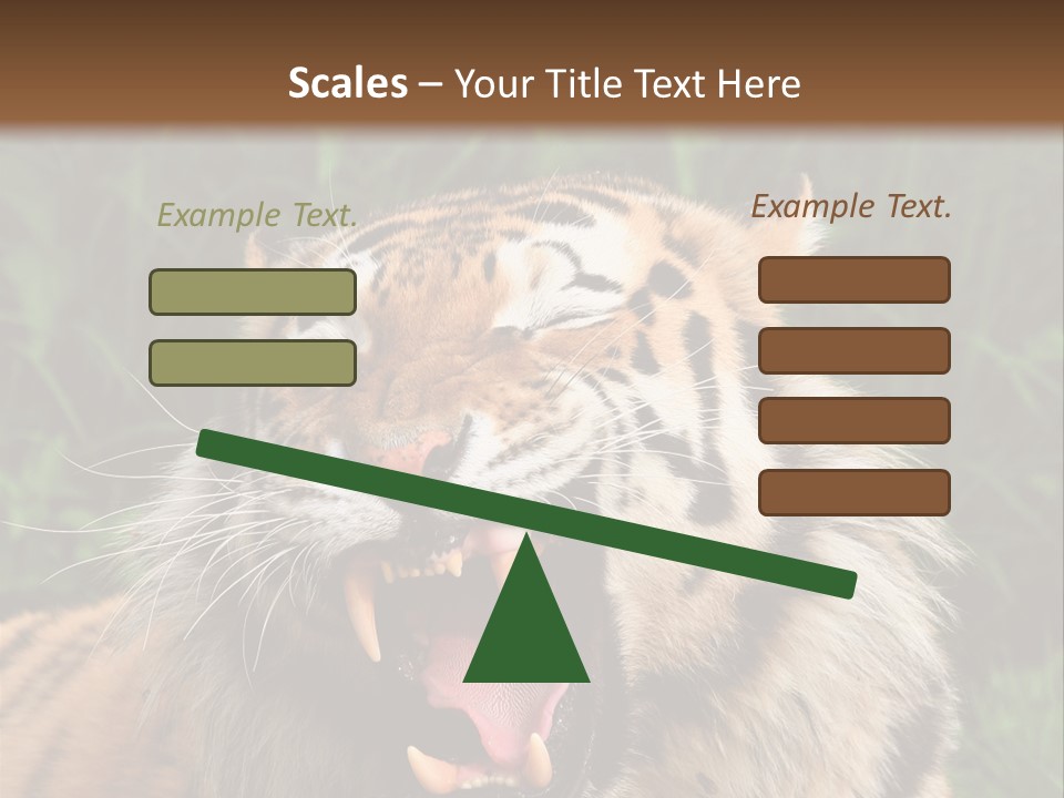 A Tiger With Its Mouth Open And It's Mouth Wide Open PowerPoint Template
