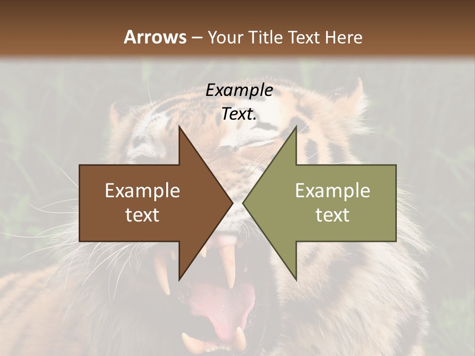 A Tiger With Its Mouth Open And It's Mouth Wide Open PowerPoint Template